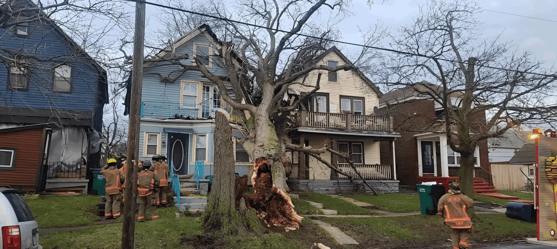 Greg's Tree Services gallery 3
