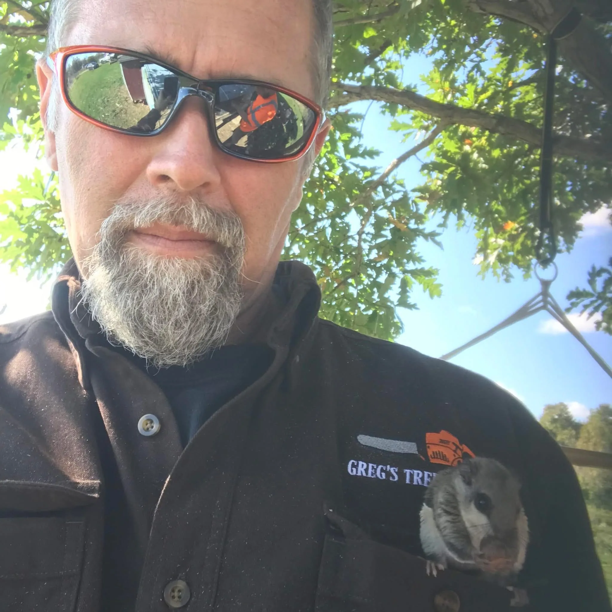Greg's Tree Services gallery 4