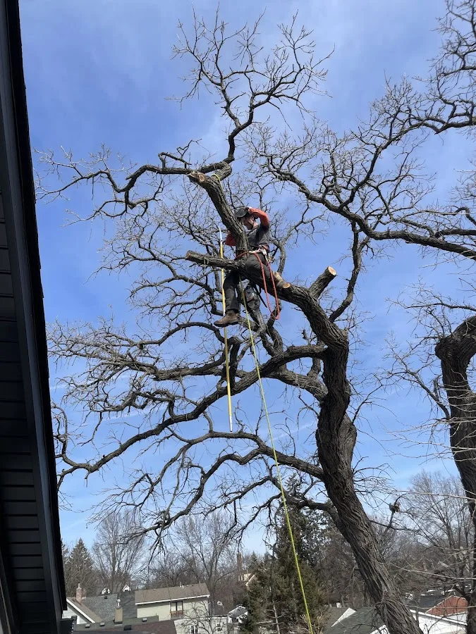Greiling Tree Service