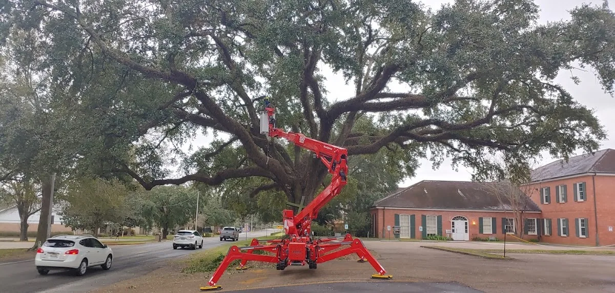 GrowGreen Tree Service