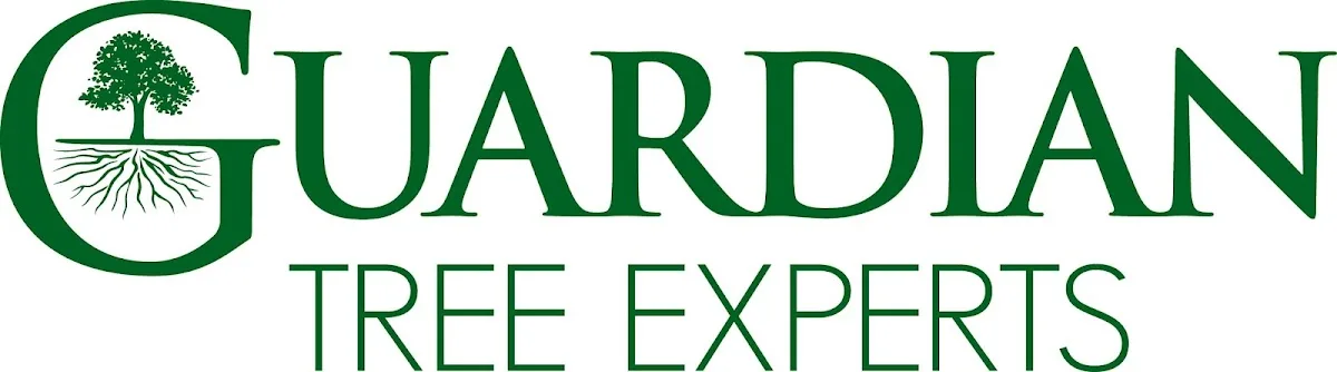 Guardian Tree Experts LLC gallery 2