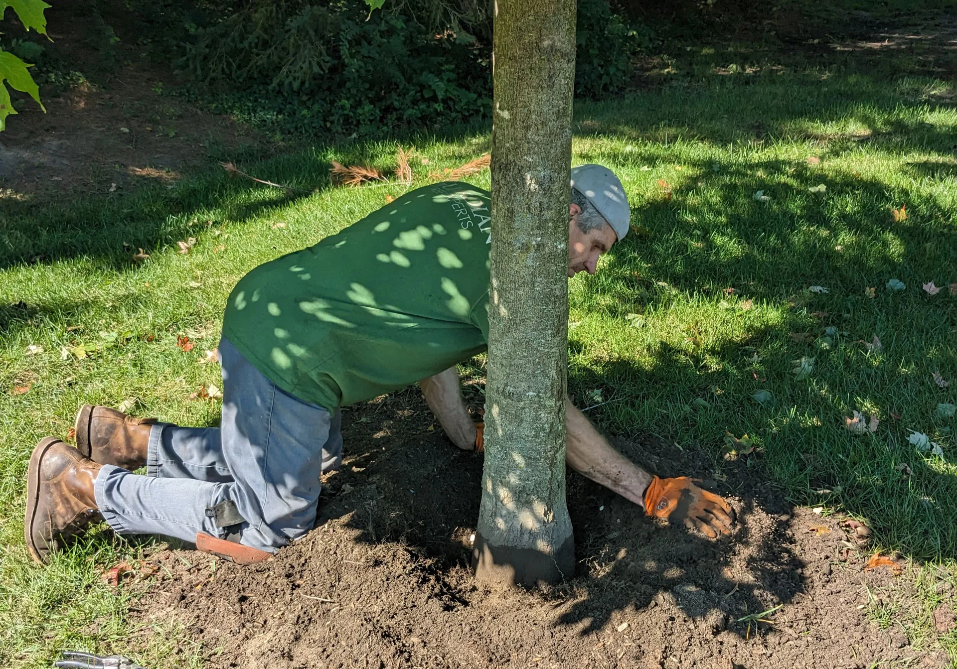 Guardian Tree Experts LLC gallery 4