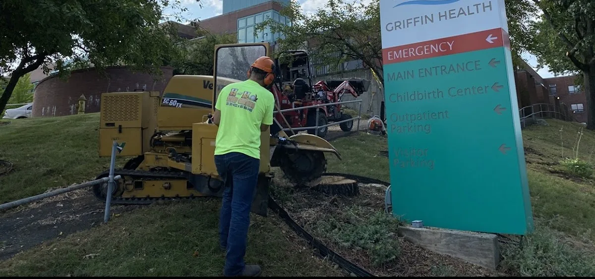H&H Stump Grinding