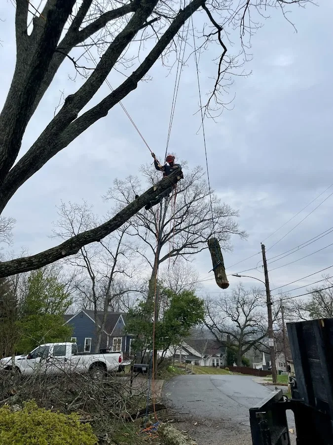 Happy Valley Tree Care and Removal