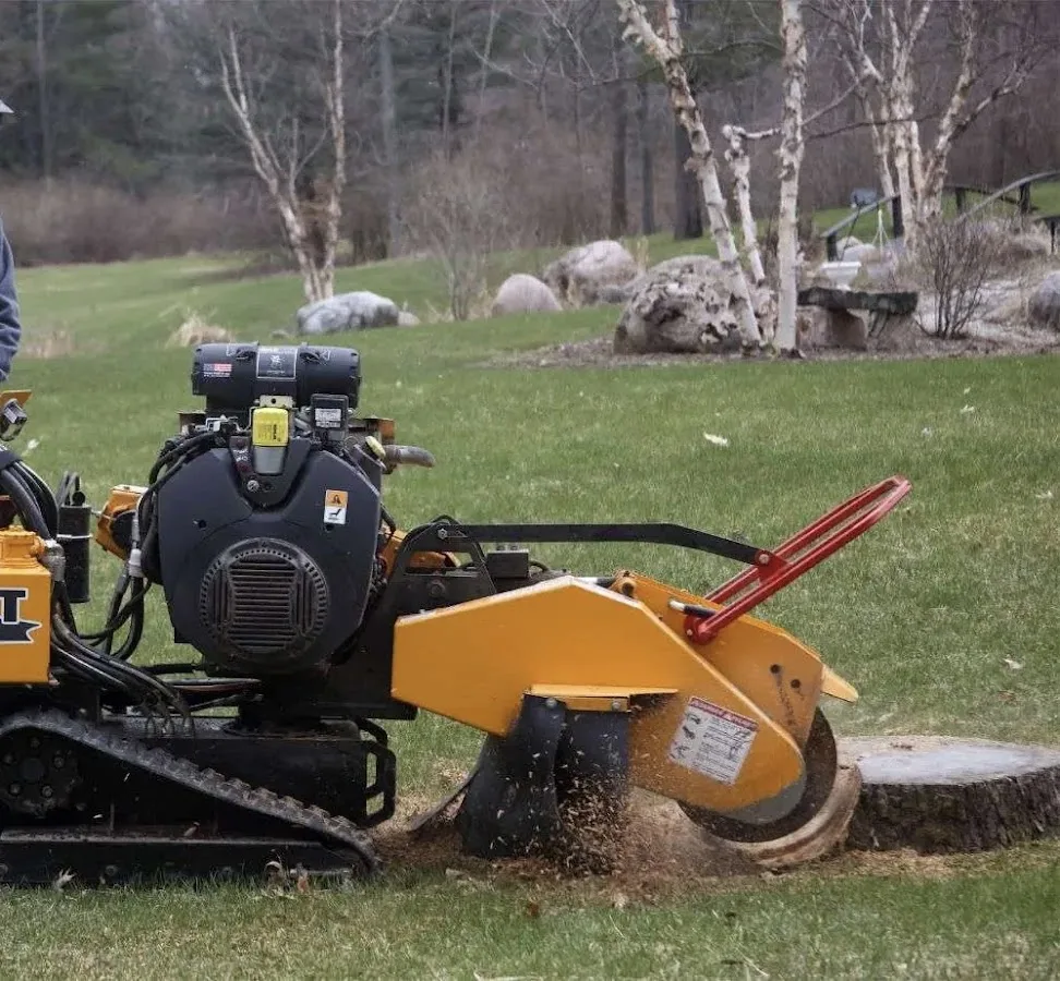 Happy Valley Tree Care and Removal gallery 2