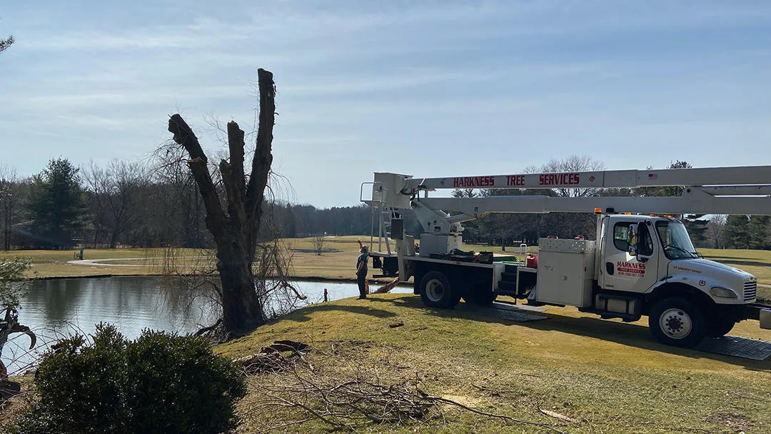 Harkness Tree Services, LLC in Bethany, CT: How to Define a Safe, Comparable Tree-Work Scope