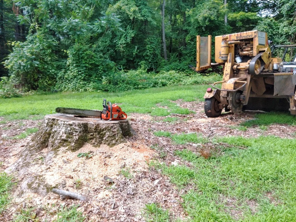 Hawkins Stump Grinding