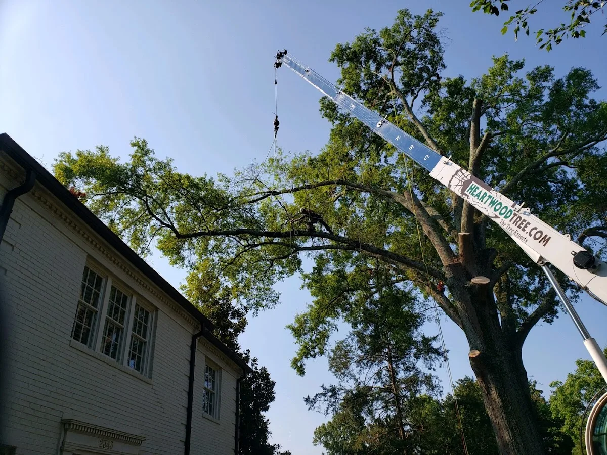 Heartwood Tree Care