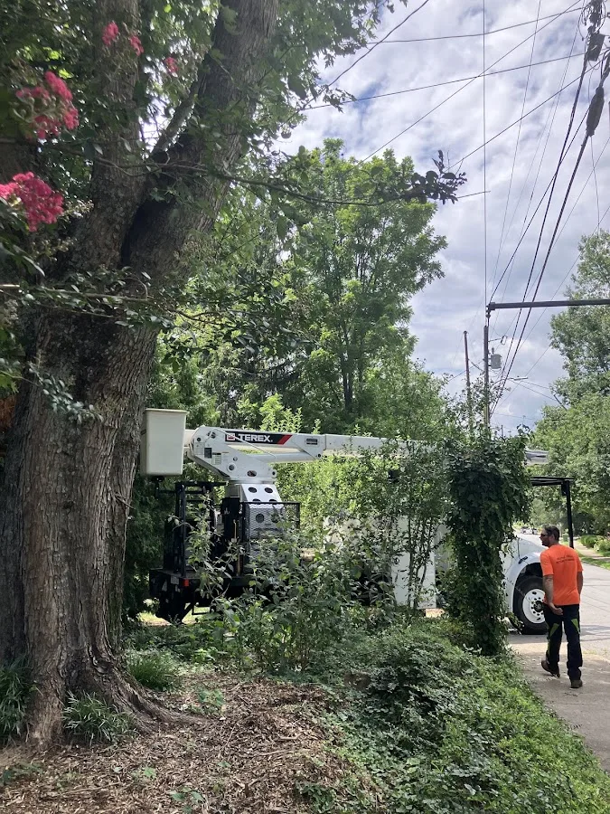 Heartwood Tree Care Asheville NC