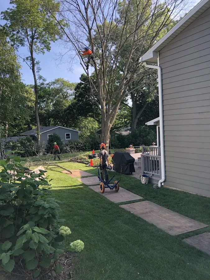 Heartwood Tree Company, LLC