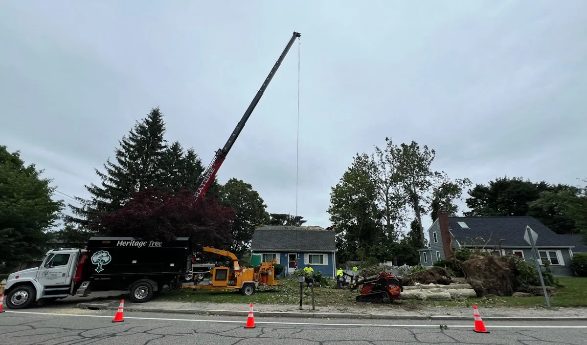 Heritage Tree & Arborist Services Northeast LLC in Seekonk: Scope-Fit Guide for Removal, Pruning, and Stump Work