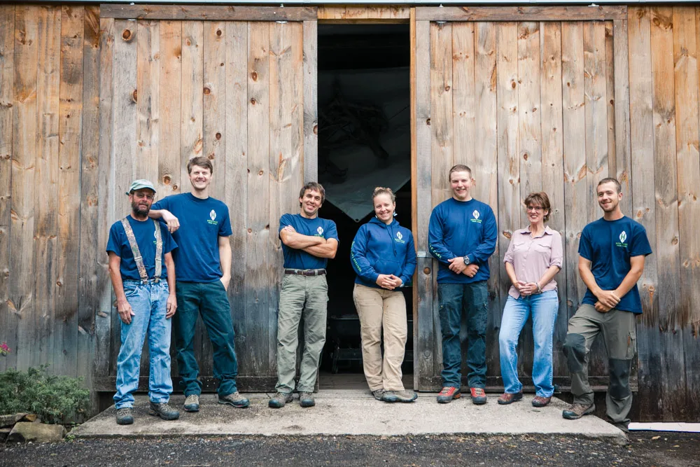 Heritage Tree Care in Essex Junction: Assessment or Tree Work?