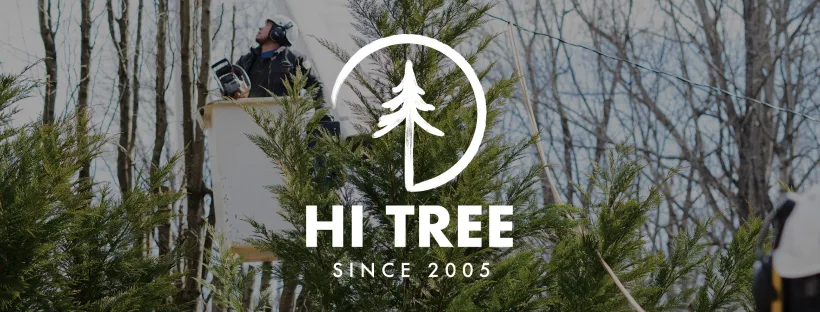 Hi Tree Service gallery 2