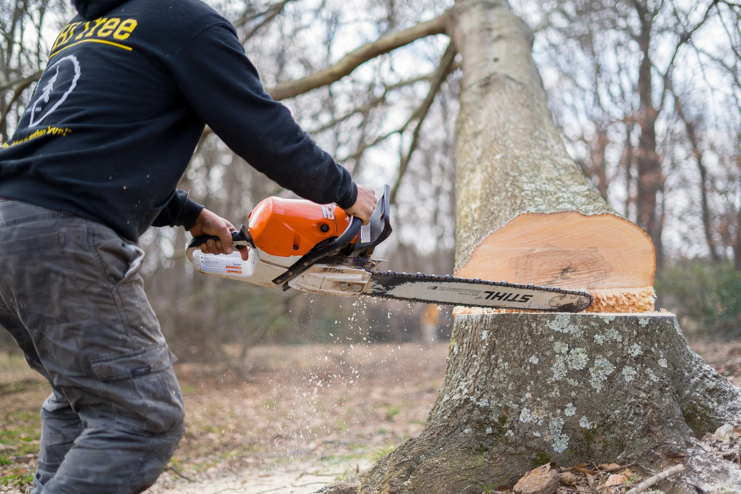 Hi Tree Service gallery 4