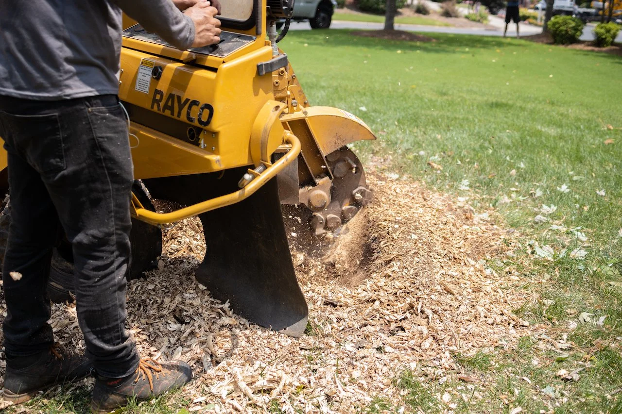 Hi Tree Service gallery 7