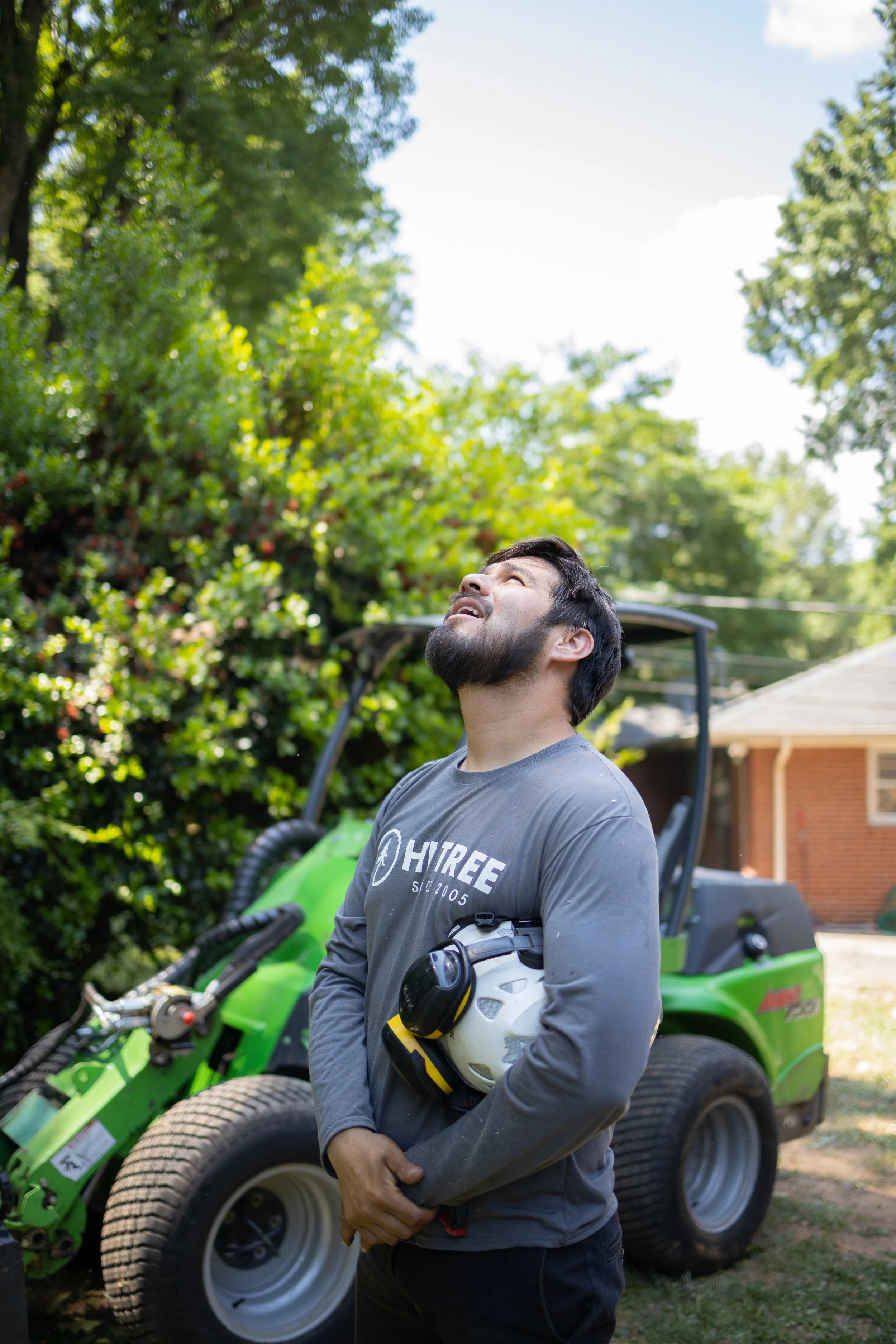 Hi Tree Service gallery 8