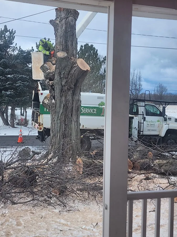 High Falls Tree Service gallery 2