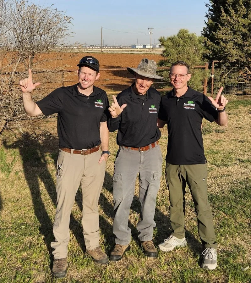 Hildebrandt Tree Tech - SavATree