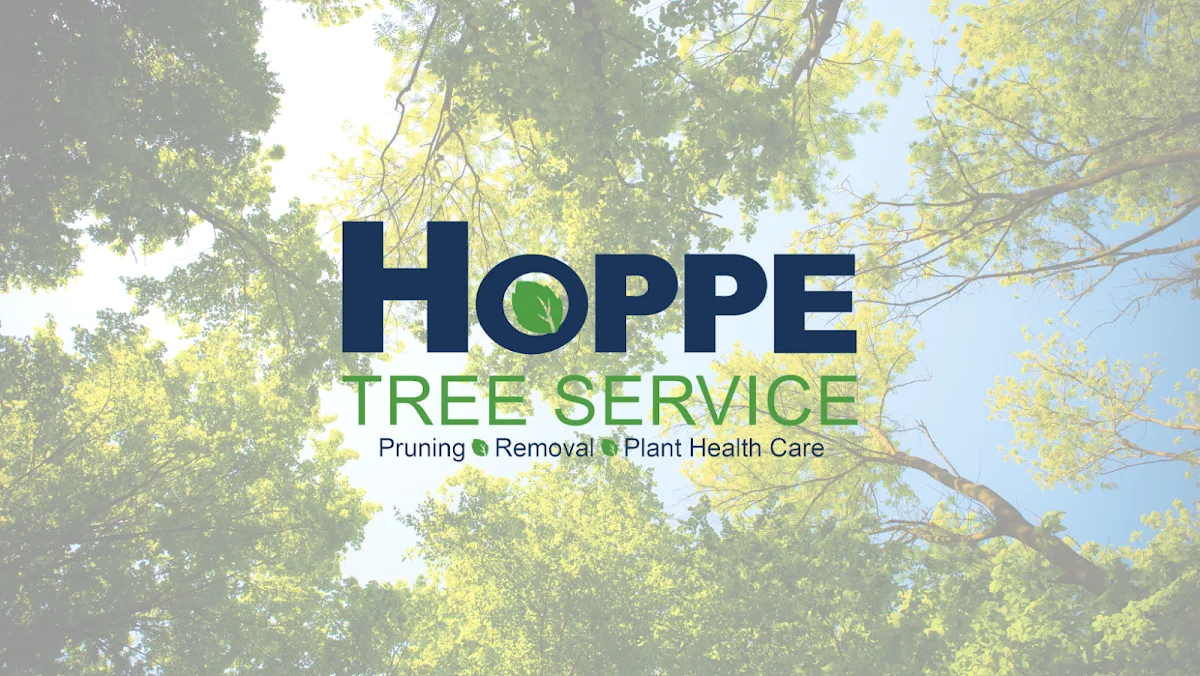 Hoppe Tree Service work site