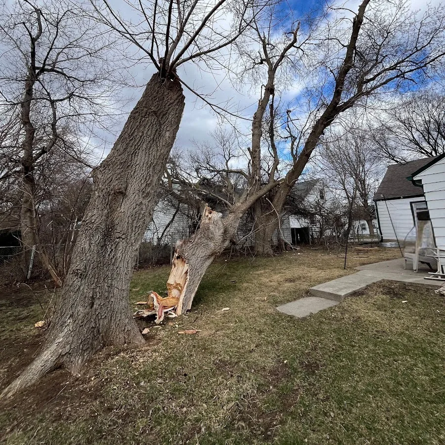 Hoppe Tree Service gallery 2