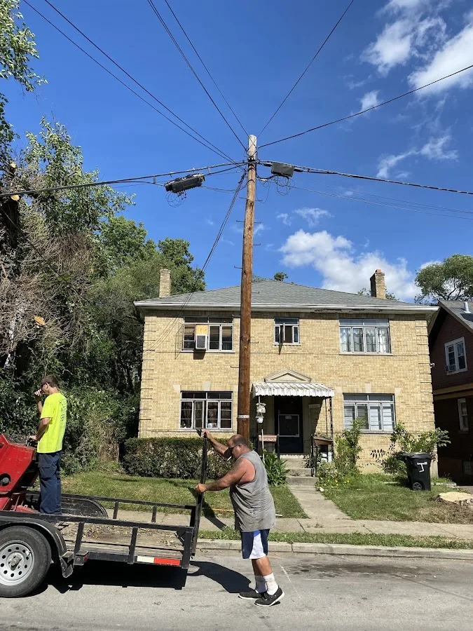 Hutson Tree Service gallery 2