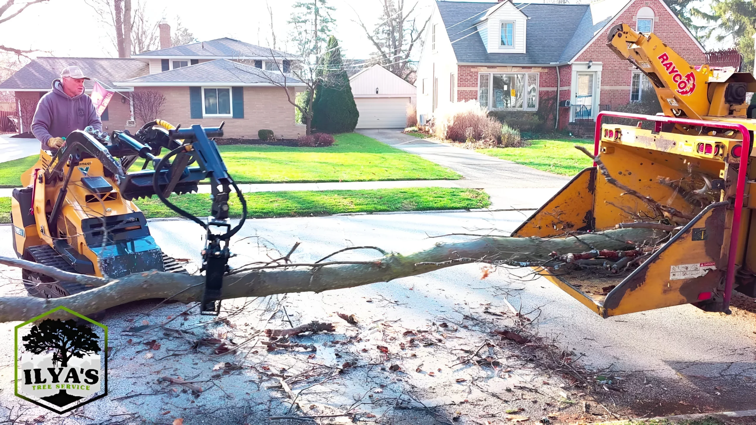 Ilya's Tree Service gallery 7