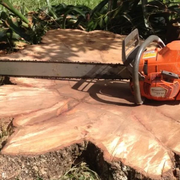 Independent Tree Service, Inc.
