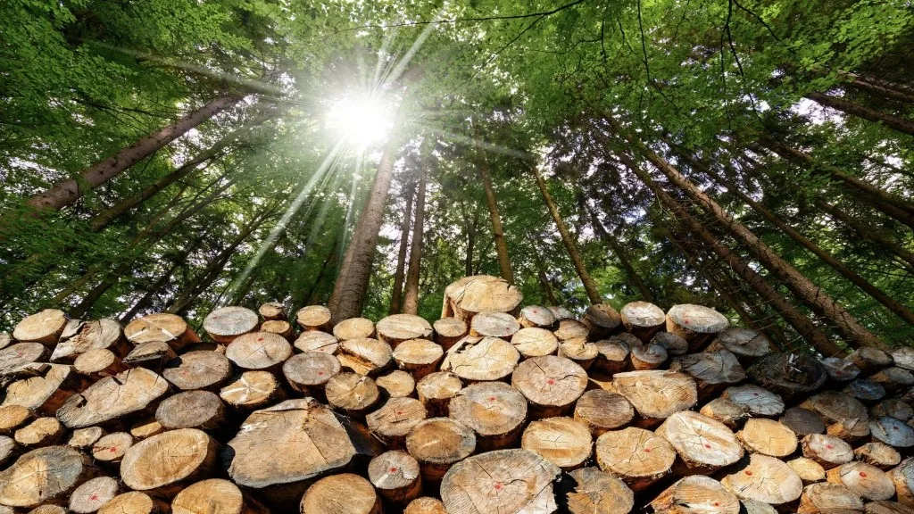 Indiana Tree Service