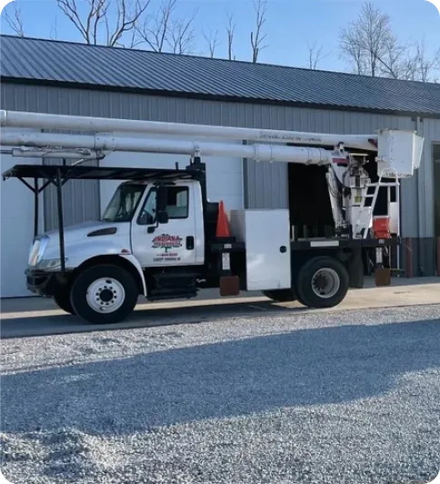 Indiana Tree Service gallery 3