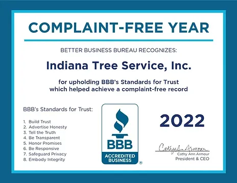 Indiana Tree Service gallery 4