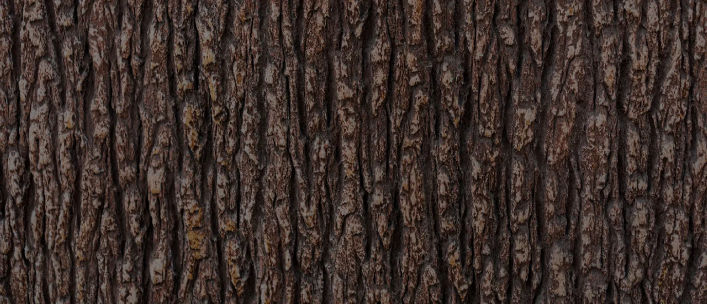 Indiana Tree Service gallery 8