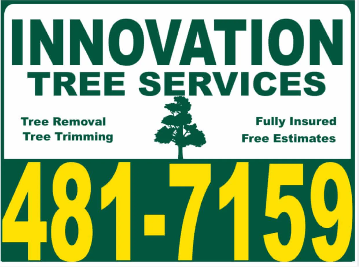 Innovation Tree Services gallery 7