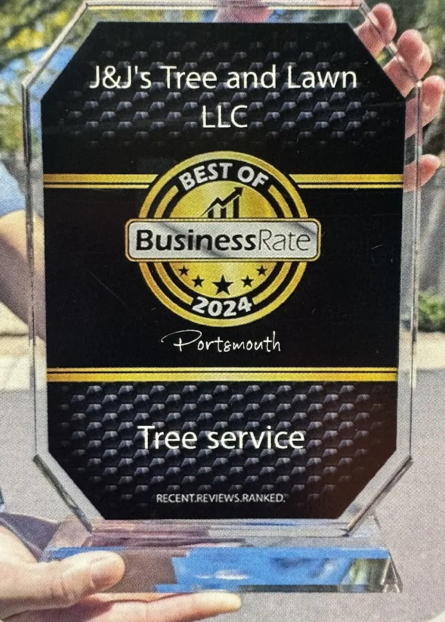 J&J's Tree and Lawn LLC gallery 2