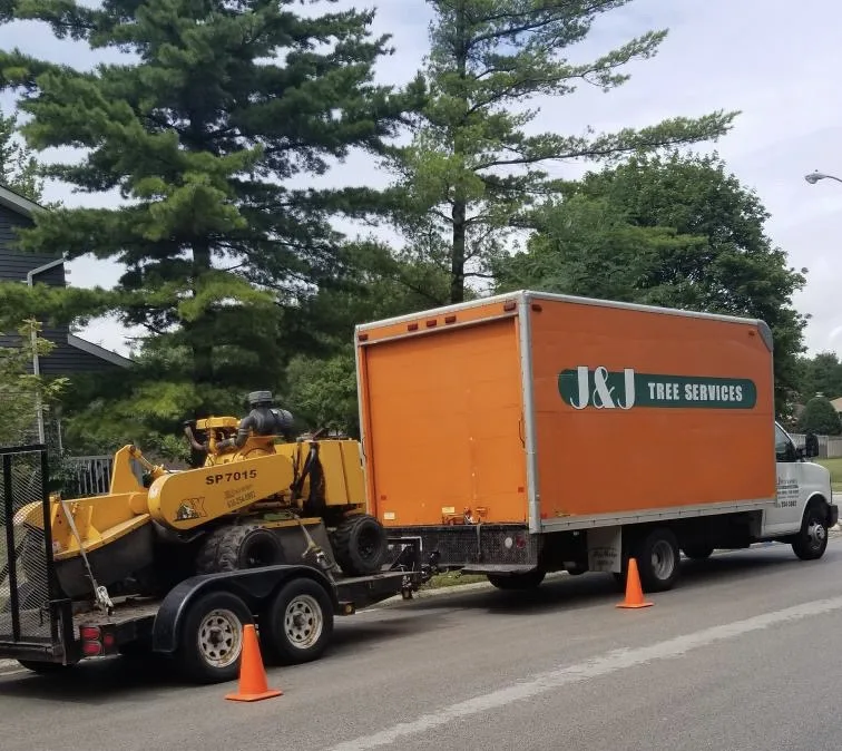 J & J Tree Services