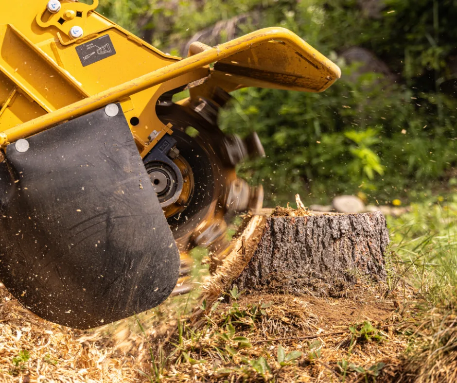 J & J Tree Services gallery 3