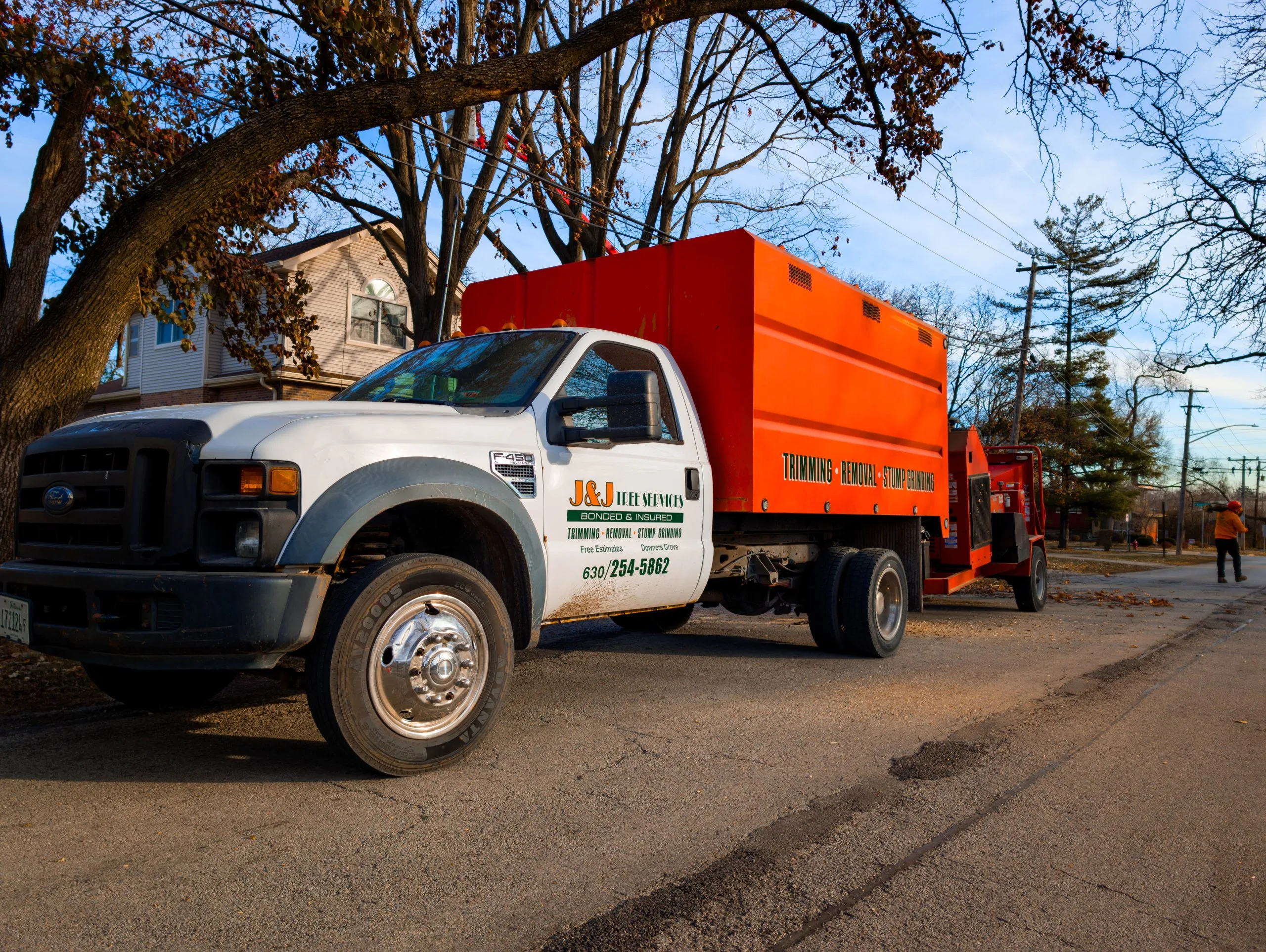 J & J Tree Services gallery 6