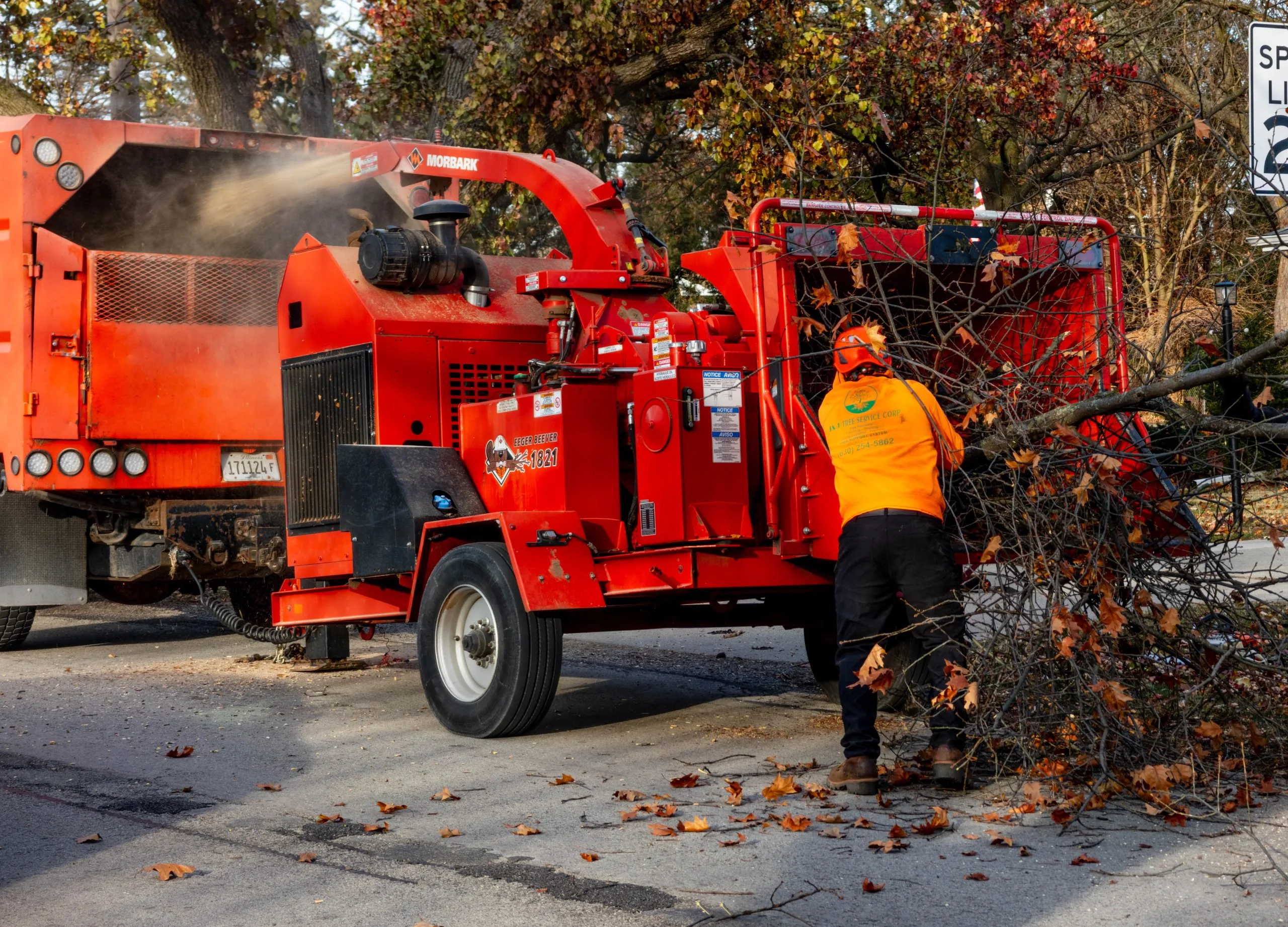 J & J Tree Services gallery 7