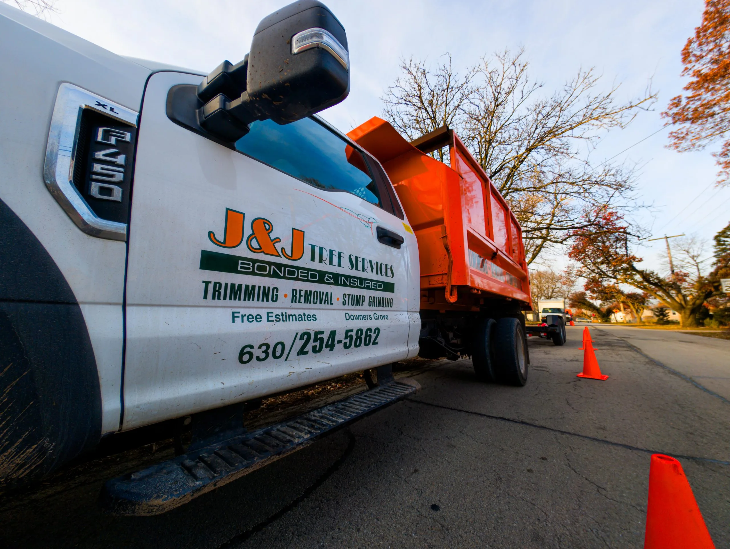 J & J Tree Services gallery 8