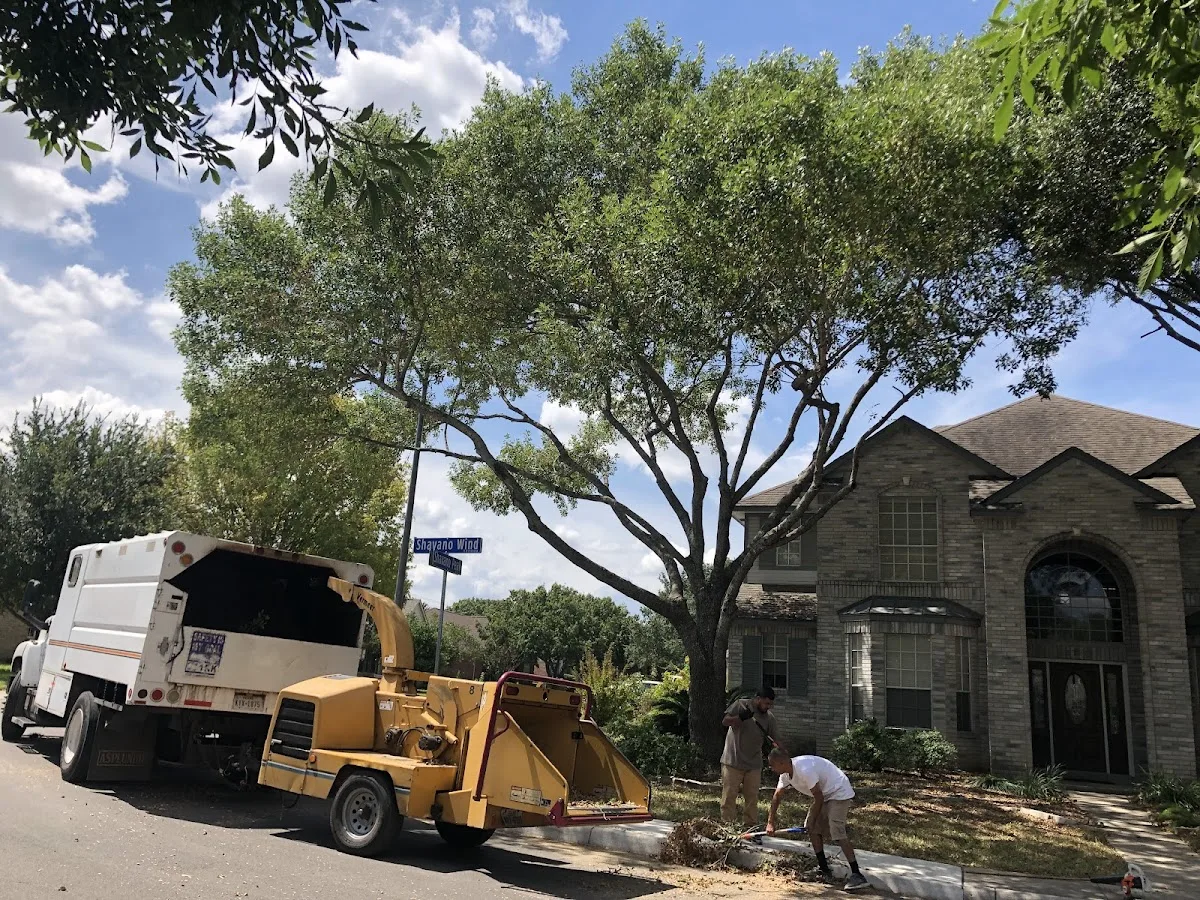 J J Tree Services LLC