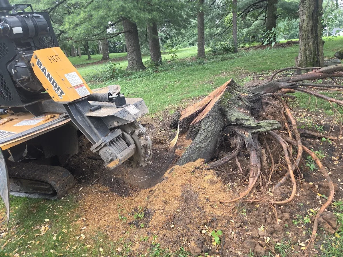 J. L. Miller Stump Grinding Services LLC