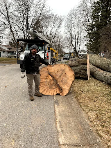J.M. Tree Service gallery 7