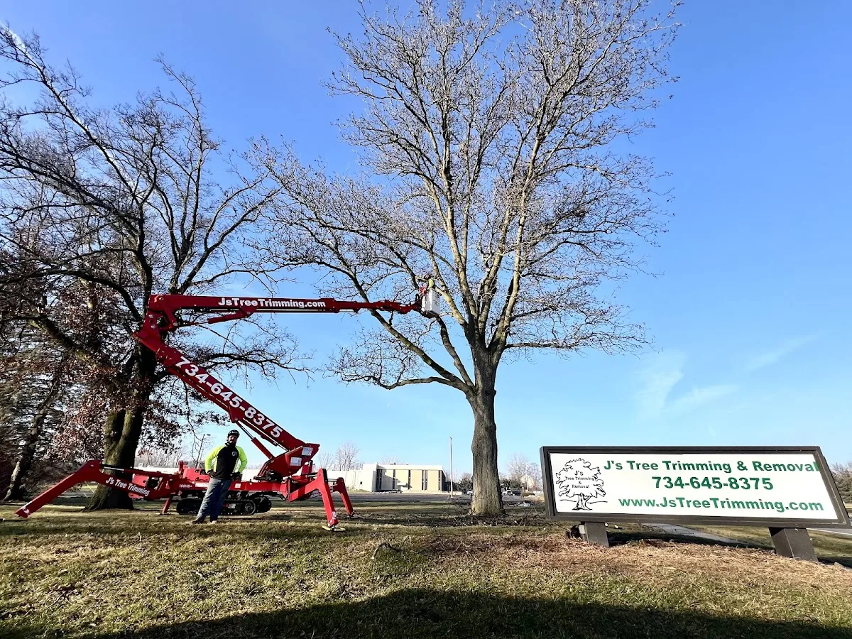 J's Tree Trimming & Removal, Inc. gallery 2