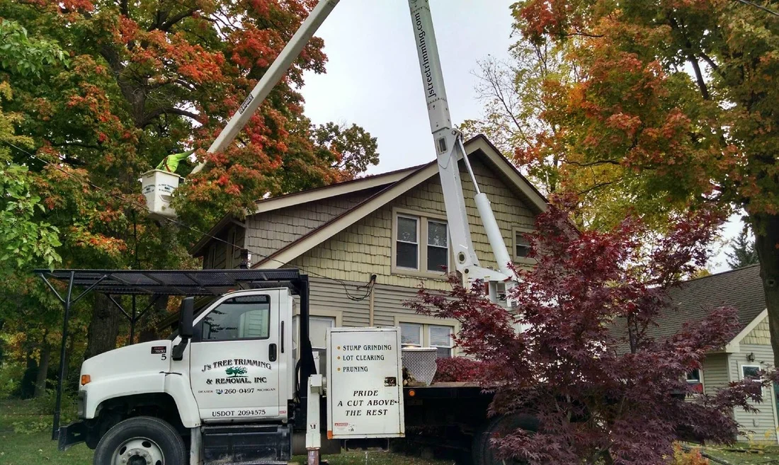 J's Tree Trimming & Removal, Inc. gallery 3