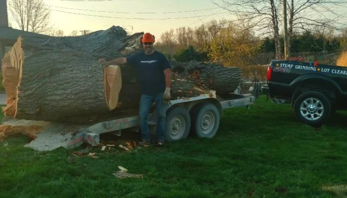 J's Tree Trimming & Removal, Inc. gallery 6