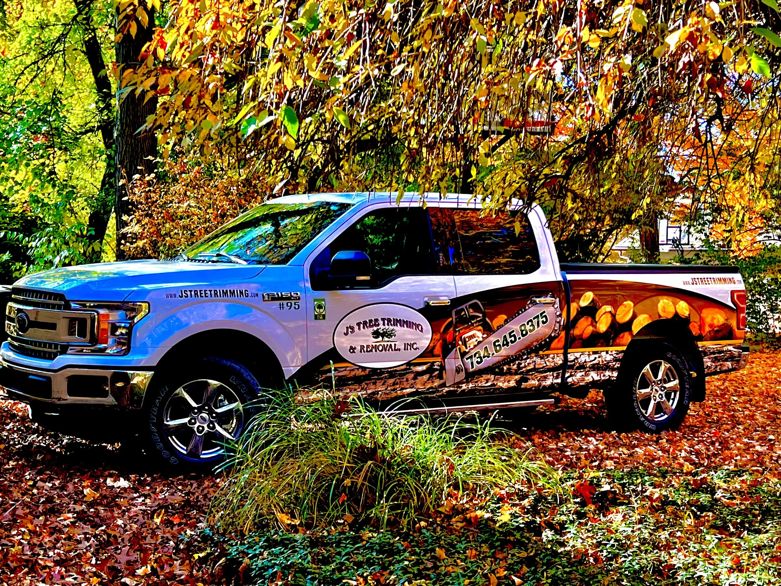 J's Tree Trimming & Removal, Inc. gallery 7