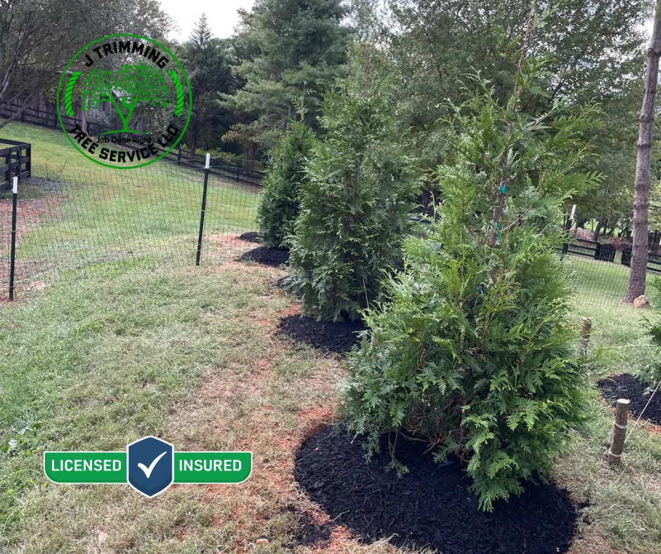 J Trimming Tree Service LLC work site