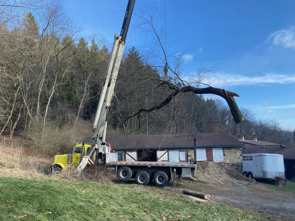 Jack's Tree Service