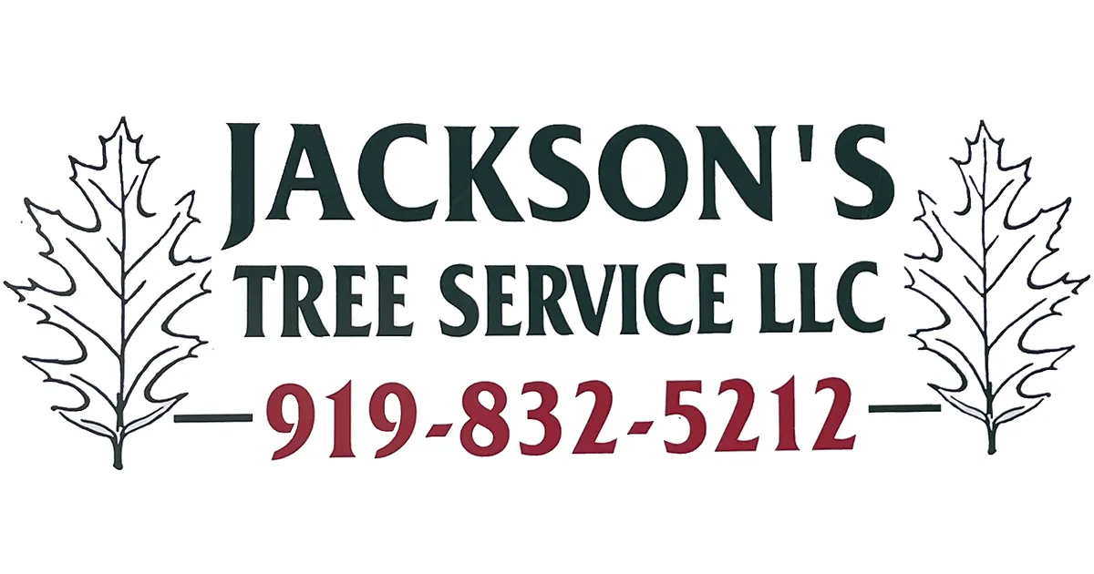 Jackson’s Tree Service, LLC gallery 5