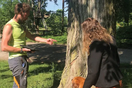 Jacob Sauer Tree Care gallery 3