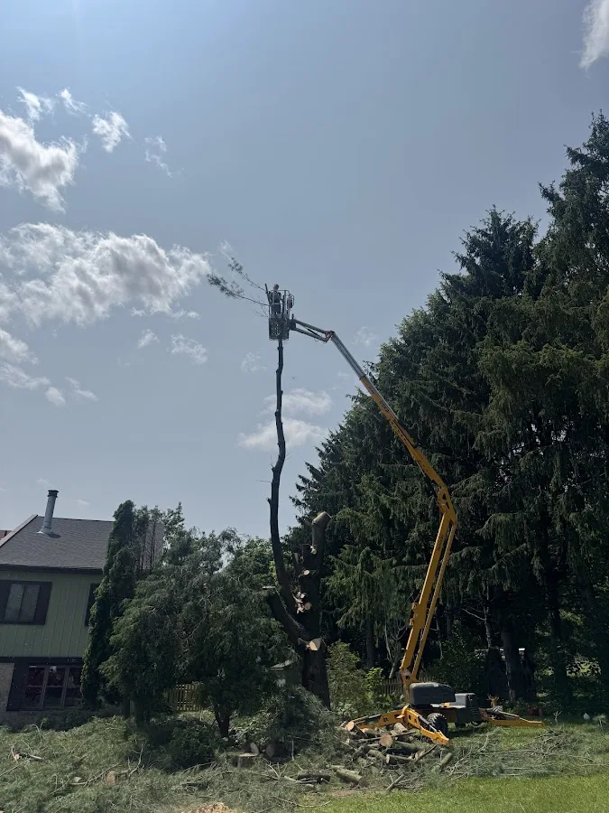 Jake's Tree Service